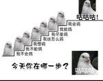 QQ图片20200411135809.jpg QQ图片20200411135809.jpg